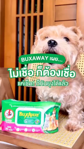Buxaway ทิชชู่เปียกกันยุงสำหรับสัตว์เลี้ยง ขนาด 20 แผ่น
