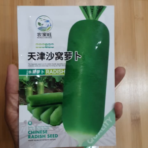 Hạt giống củ cải đường xanh chịu nhiệt Hoang My food and beauty