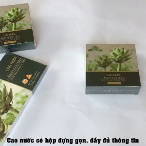 Ống uống Actiso Ngọc Duy không đường Combo 5 hộp hỗ trợ thanh nhiệt giải độc mát gan