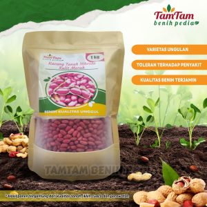 BENIH KACANG TANAH SUPER HIBRIDA KULIT MERAH 1kg