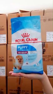 ROYAL CANIN MINI INDOOR PUPPY ( 500 g./ 1.5 kg./ 3 kg. ) อาหารเม็ดสำหรับลูกสุนัข พันธุ์เล็กเลี้ยงในบ้าน อายุ 2-10 เดือน
