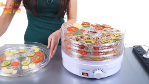 KELETOOL Food Dehydrator Machine Adjustable Temperature 5-Tray Dehydrators for Food and Jerky Fruit Dog Treats Herbs Snacks 350W Electric Food Dryer