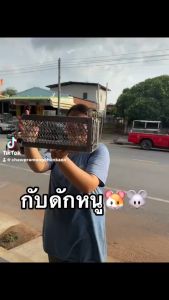 กับดักหนู กรงดักหนู กาวดักหนู ที่ดักหนู กรงดักหนูแบบมีโครง กรงดักหนูสปริงคู่ กรงดักหนูนา กรงดักหนูเล็ก กาววิทยาศาสตร์ กับดัก หนู