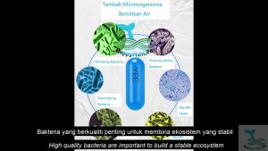 Yee Probiotics Nitrifying Bacteria Nitrobacteria Nitrifier Premium BT Grade