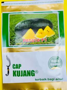 Pupuk zat aktivator tanaman asam amino ACTIVATION isi 500ml memacu pertumbuhan dari PETROSIDA GRESIK