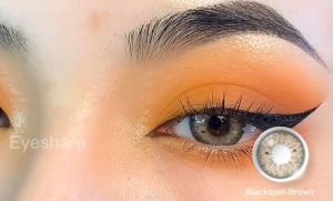 LENSFINE (0°-600°) คอนแทคเลนส์สีเทา/น้ำตาล 1คู่/2 ชิ้น อายุการใช้งาน 1ปี สีเทา 14.2 มม จัดส่งรวดเร็ว