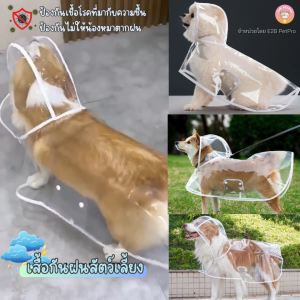 เสื้อกันฝนสุนัข เสื้อกันฝนสัตว์เลี้ยง สีโปร่งใสขอบขาว กันฝนสุนัขคลุมได้ทั้งตัว H007