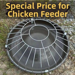 LANWAN | Automatic Chicken Feeder For Free Range Chickens