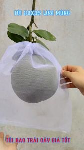 [ 25*35cm ] 100 CÁI TÚI LƯỚI TỐT BAO BỌC TRÁI DƯA LƯỚI  BƯỞI  CHÙM MẬN .. - VẬT TƯ NÔNG NGHIỆP