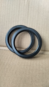 Ron (gioăng) cao su máy pha cà phê EXPOBAR