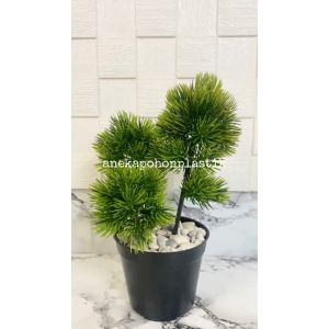 Tanaman Hias Daun Lohansung Mini X3 Latex Pot Dasar Hitam Plastik Hiasan Meja Kantor