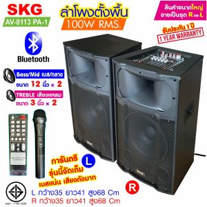 ลำโพงตั้งพื้น ลำโพงขนาด 12 นิ้ว 100W RMS เบสแน่นๆๆ รุ่น AV-8113 PA-1 (สีดำ)