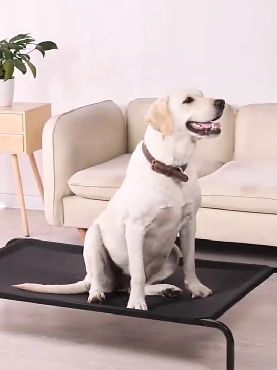 ที่นอนสุนัข ที่นอนแมว แบบยกสูง ผ้าตาข่ายระบายอากาศ