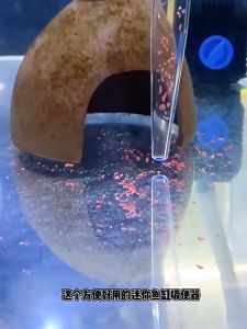 อุปกรณ์ดูดอูดอูจาระ 28/45cm ป้อนยา สำหรับดูดอูจาระ ทำความสะอาดตะกอน วัดและเปลี่ยนน้ำ สามารถใช้สำหรับสิ่งสกปรกที่ด้านล่างของตู้ปลา