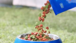 Hạt Smartheart Dành Cho Chó Trưởng Thành Vị Bò Nướng
