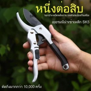 KS กรรไกรตัดกิ่ง SK5 กรรไกรตัดกิ่งไม้ กรรไกรแต่งกิ่ง ทำสวน กรรไกรตัดแต่งกิ่งไม้ เครื่องมือจัดทำสวน มีระบบล็อคด้าม กรรไกรตัดกิ่ง Garden Hand Tools Scissors Stainless Steel Labor-Saving Pruning Scissors ประหยัดแรงงาน กันไกรตัดกิ่ง