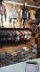 SSMR_STORE