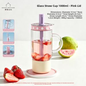MODERN SWEETHOME | Aesthetic Borosilicate Glass Cup with Lid and Straw