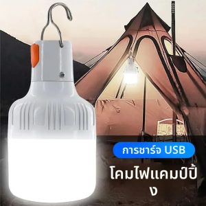 40 W/100 W/120 W Camping ความสว่างแบบพกพา Dimming หลอดไฟ LED เต็นท์กลางแจ้งไฟฉุกเฉิน Night Light พร้อมตะขอ