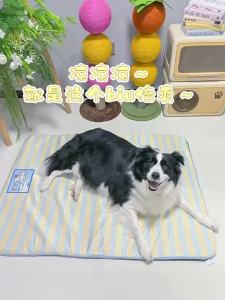 hipidog | All Season Suitable Dog & Cat Bed For Medium to Large Pets