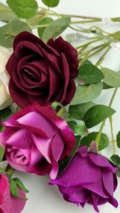 Rose Bludru Panjang Tangkai 50cm Bunga Mawar Imitasi kain artificial untuk Hiasan dekorasi kamar cafe rumah dan wedding atau dekorasi pelaminan Import artificial palsu kain premium termurah
