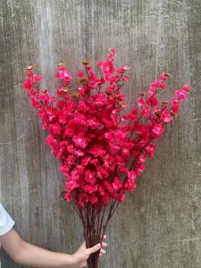 Bó 5 Cành Hoa anh đào trang trí loại đẹp giá rẻ