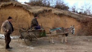 *** CONNOISSEURS ALERT *** CHONA MARANI SAPERAVI   "CS"   QVEVRI NATURAL RED WINE  - MADE IN GEORGIA -  MUST SIP & ENJOY ! ! !