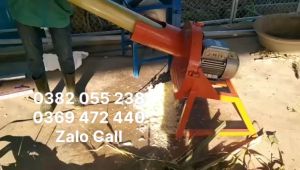 Máy băm chuối băm cỏ động cơ 2 ngựa