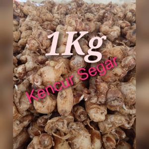 KENCUR SEGAR /KENCUR SEBLAK AROMA KHAS WANGI (1kg)