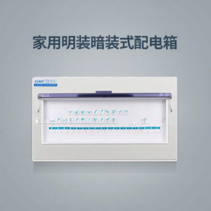 CHNT | Indoor Installation Compatible Electrical Distribution Box
