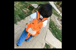 TAS ANAK LAKI LAKI SEKOLAH SD TK KARAKTER LUCU IMPORT