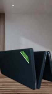 FREESHIP Nệm Bông Ép Gấp 3 Tatana Chính Hãng - Tặng 2 Gối Nằm