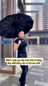 Ô Dù Gập Gọn Tự Động Cao Cấp 24 Nan – Thiết Kế Thời Trang Chống Lật Gió Nhẹ Gọn Sang Trọng
