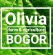 Olivia farm bogor