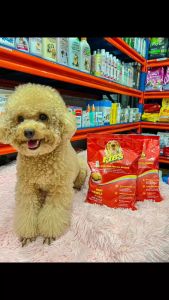 THỨC ĂN HẠT FIBS DÀNH CHO CHÓ TRƯỞNG-CÂN BẰNG DINH DƯỠNG - GÓI 400GR