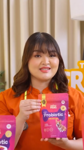 THE PERFECT PAWS 3 IN 1 PROBIOTIC CHEWS FOR DOGS
