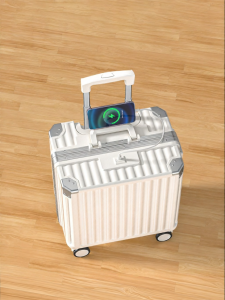 Cabin Approved 20-Inch Suitcase