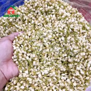 Trà Hoa Nhài ( Hoa Lài ) Sấy Khô Nụ Trắng Nguyên Bông 100gr
