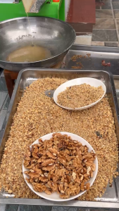 (500ml1 lít) Dầu hạt óc chó rừng nguyên chất. Tinh dầu óc chó cho bé ăn dặm từ hạt óc chó nguyên tách vỏ