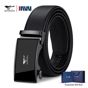 SEPTWOLVES | High Quality Genuine Leather Business Belt