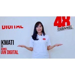 Antena Digital TV Indoor/Outdoor PX HDA-5000