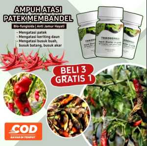 Tricoderma BELI 3 GRATIS 1 250ml Fungisida Pembasmi Jamur Pencegah Layu tanaman Patek Cabai & Busuk