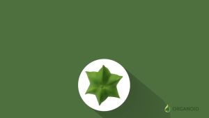 น้ำมันถั่วดาวอินคา โปรดี....เลือกได้ 1 กระปุก