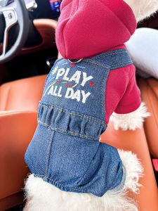 Petcircle Dog Winter Clothes Warm Four-Legged Pet Clothing Teddy Pomeranian Bichon Small Dog Autumn Winter Thermal Overalls