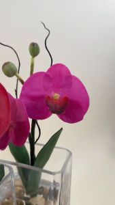 Akara Dokmaii แจกันดอกไม้ปลอมขนาดเล็ก กล้วยไม้พร้อมแจกัน