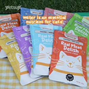 Petsup Real Meat Delish Wet Cat Food 85g Grain Free High Protein Hydration Meal Chicken Pumpkin Salmon Tuna Chicken Liver Carrot Flavor For Cats and Kittens