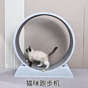 [SG STOCK]Large Elevated Cat Treadmill with Climbing Frame | Pet Exercise Toy for Cats Diameter 80cm