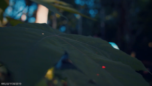 LIVE-WELL MECOMIN 90X2+60 (EXP=05/2027)