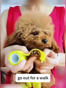 Pet Dog Cat Medical Breathable Elastic Bandage Non-woven Pet Self Adherent Wound Outdoor Retractable Sports Tape Dog Accessories