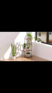 Outdoor Indoor Fashionable European Multi layer Horticultural Flower Rack Bookshelf Storage Rack 花盘花架置物架